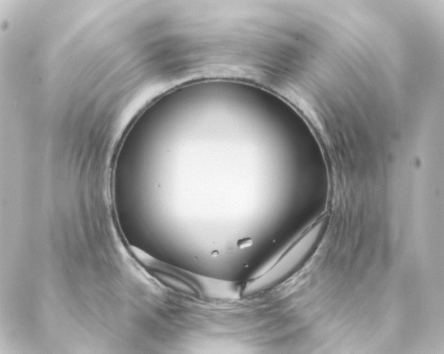 X0000088571342200706221242