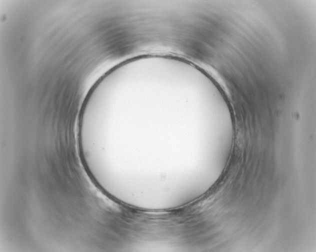 X0000088571343200706221242