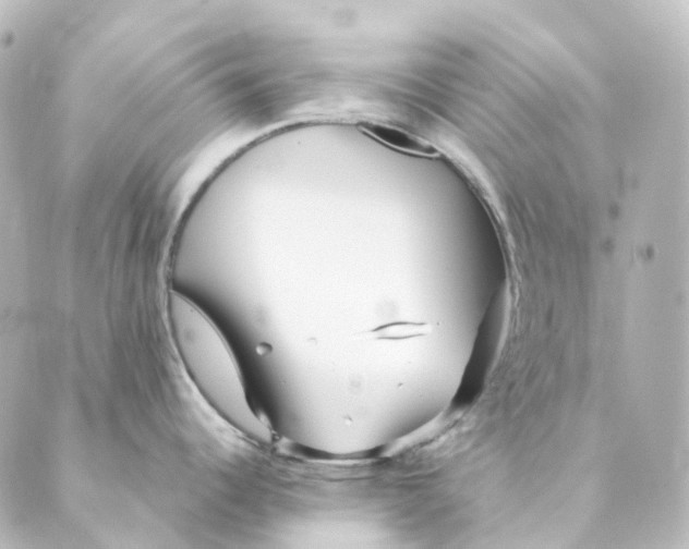 X0000088571344200706221242