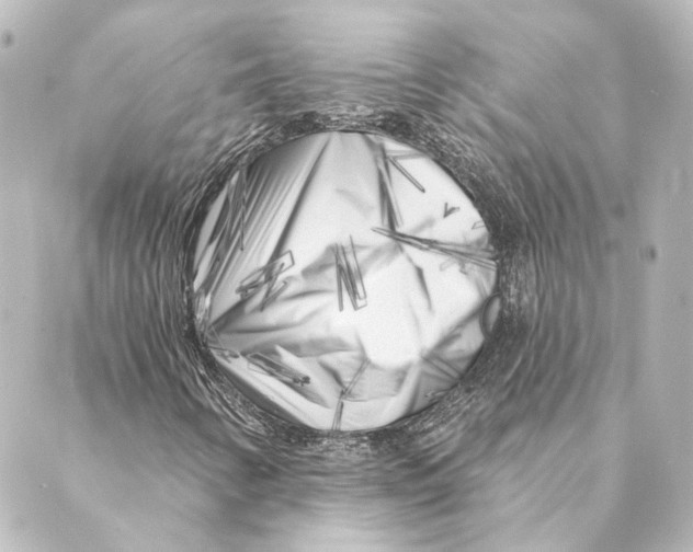 X0000088571346200706221241