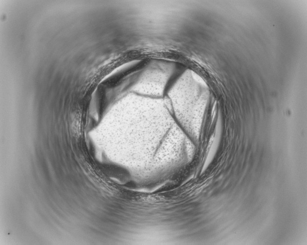 X0000088571348200706221241