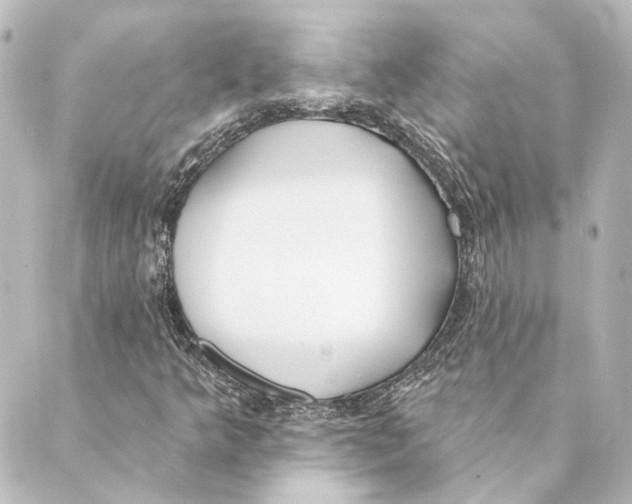 X0000088571349200706221241