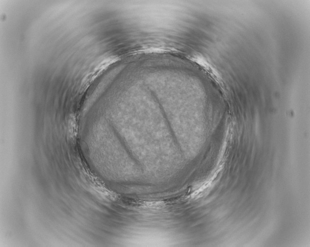 X0000088571353200706221241