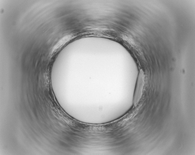 X0000088571354200706221241