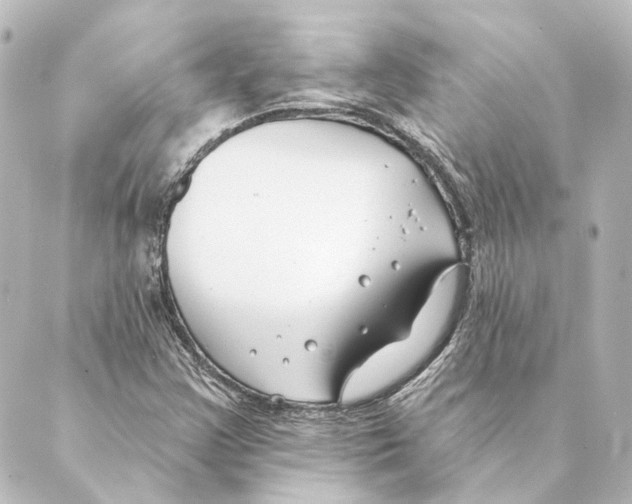 X0000088571355200706221241