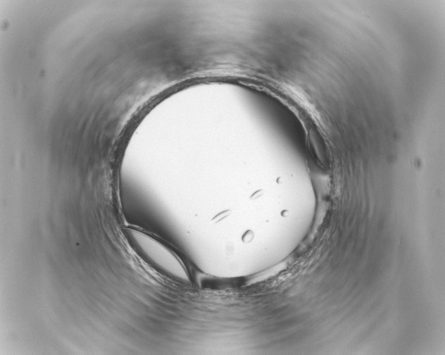 X0000088571356200706221241