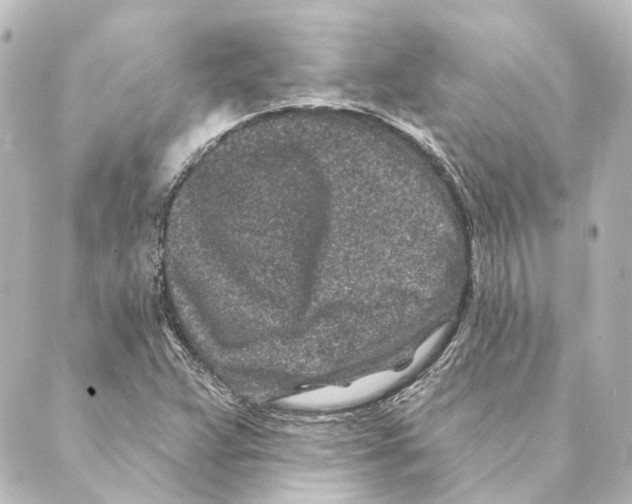 X0000088571359200706221241