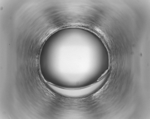 X0000088571361200706221241