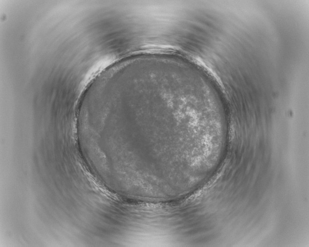 X0000088571362200706221241