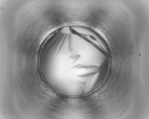 X0000088571364200706221241