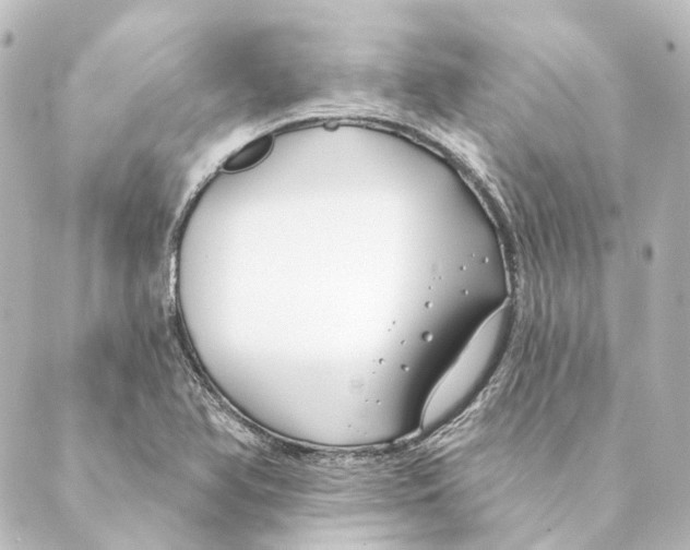 X0000088571366200706221241