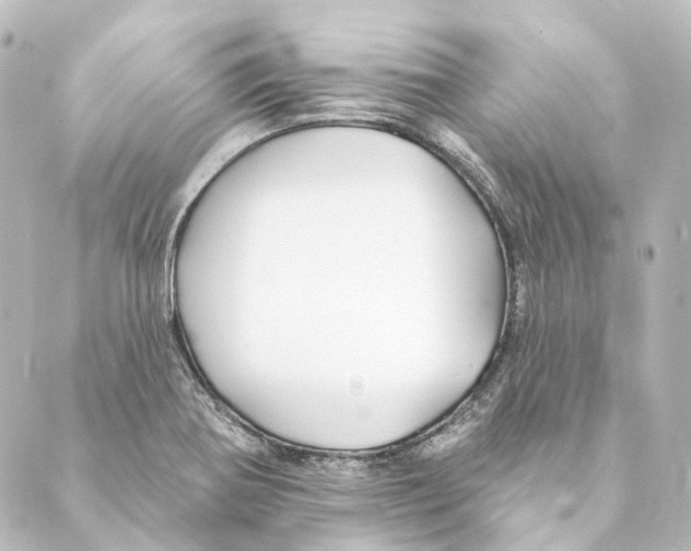 X0000088571370200706221241