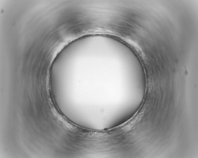 X0000088571374200706221241