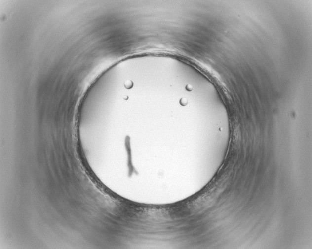 X0000088571375200706221241