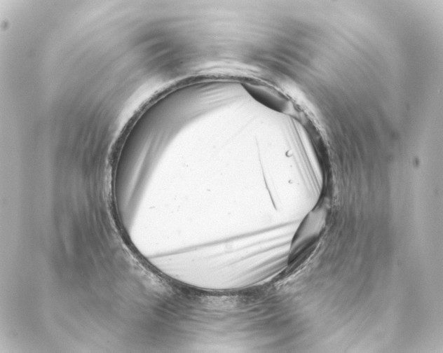 X0000088571376200706221241