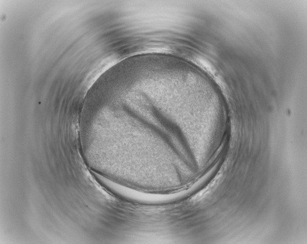 X0000088571377200706221241