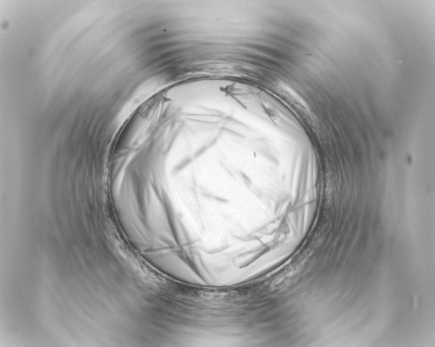 X0000088571378200706221241