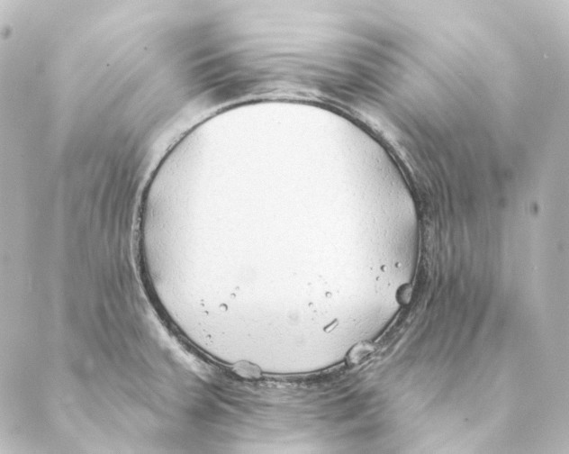 X0000088571379200706221240