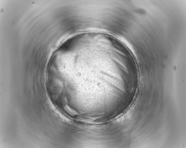 X0000088571381200706221240