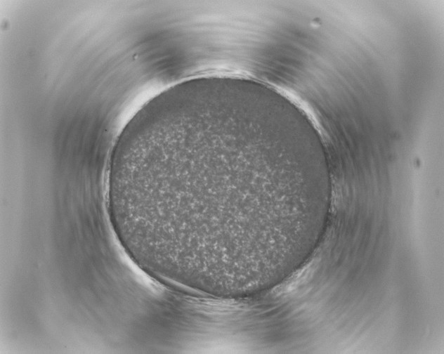 X0000088571383200706221240