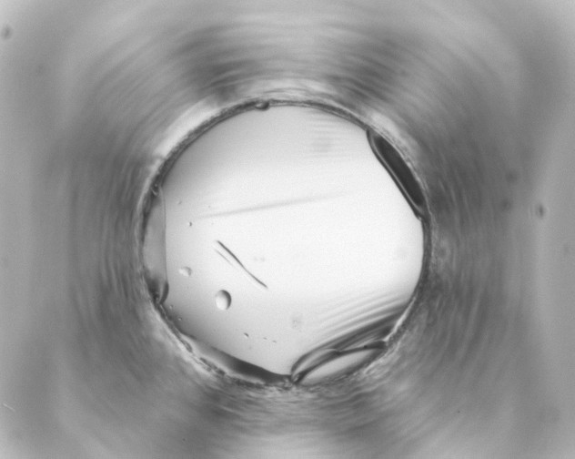 X0000088571384200706221240