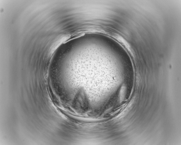 X0000088571385200706221240