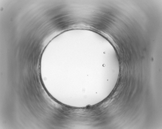 X0000088571387200706221240