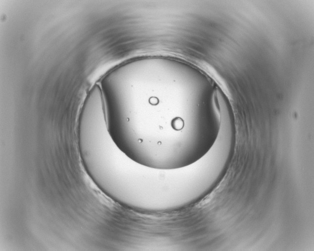 X0000088571388200706221240