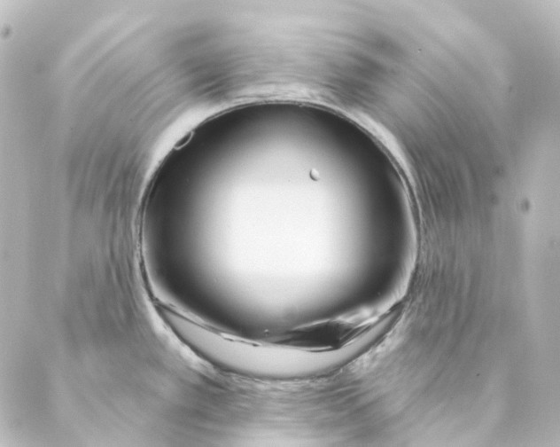 X0000088571389200706221240