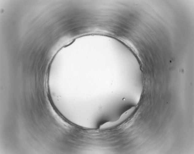 X0000088571391200706221240