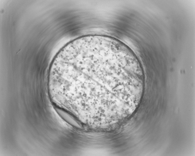 X0000088571392200706221240