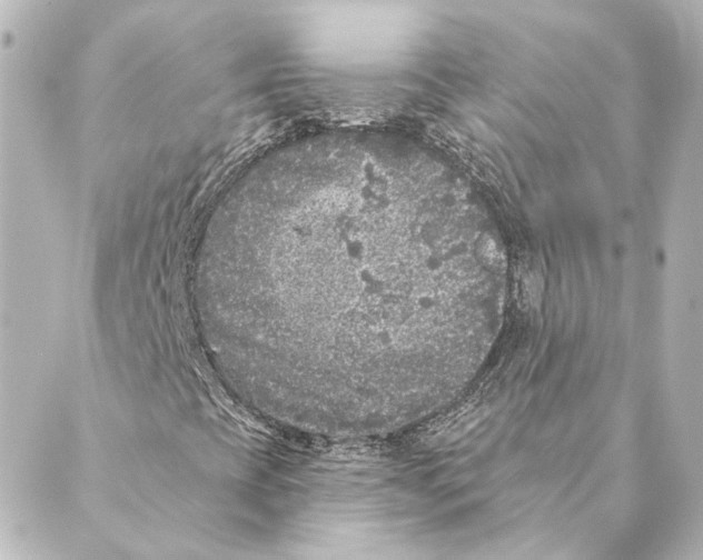 X0000088571393200706221240