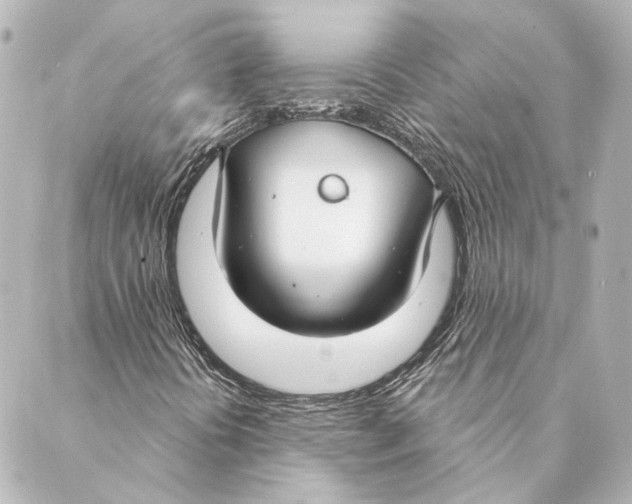 X0000088571394200706221240