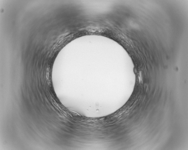 X0000088571396200706221240