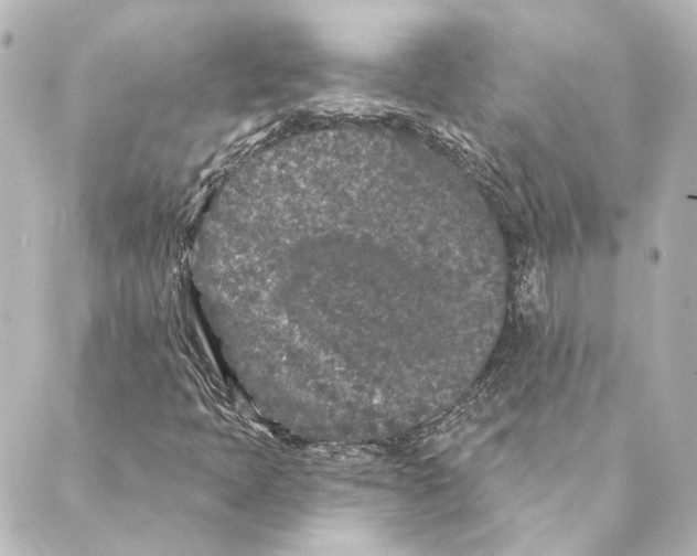 X0000088571397200706221240