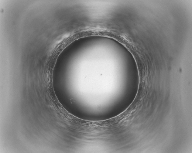 X0000088571398200706221240