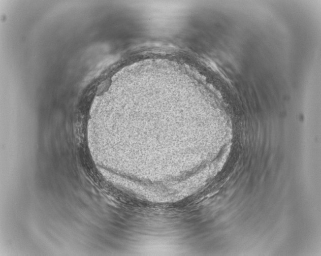 X0000088571399200706221240