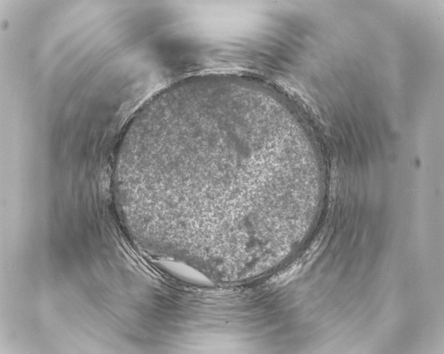 X0000088571401200706221240