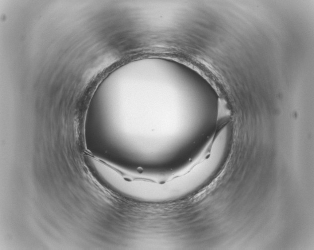 X0000088571402200706221240