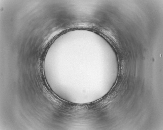 X0000088571404200706221240