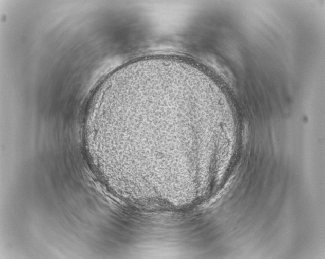 X0000088571405200706221240