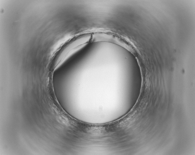 X0000088571406200706221240