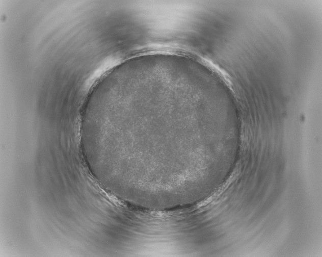 X0000088571411200706221240