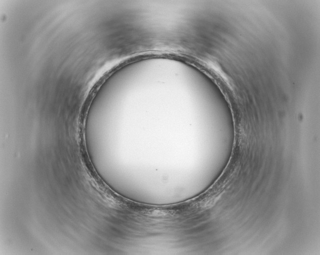 X0000088571412200706221240