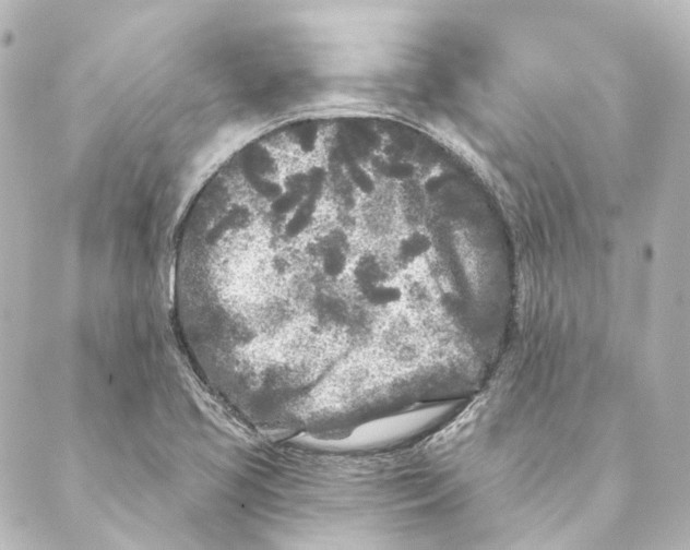 X0000088571413200706221240