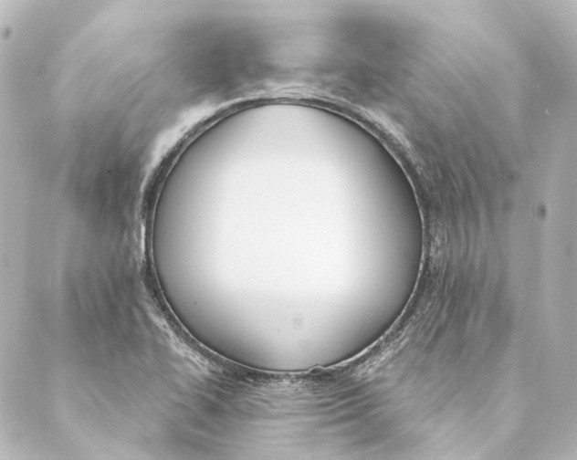 X0000088571414200706221240