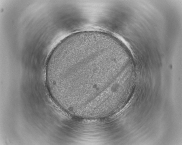 X0000088571415200706221240