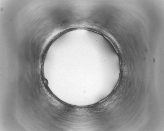 X0000088571416200706221240