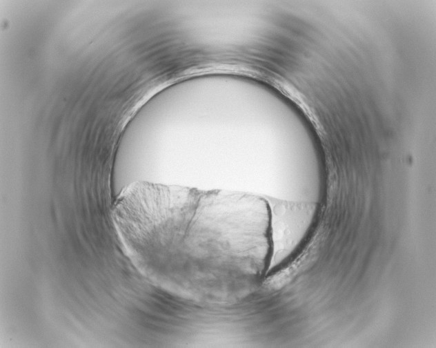 X0000088571417200706221240