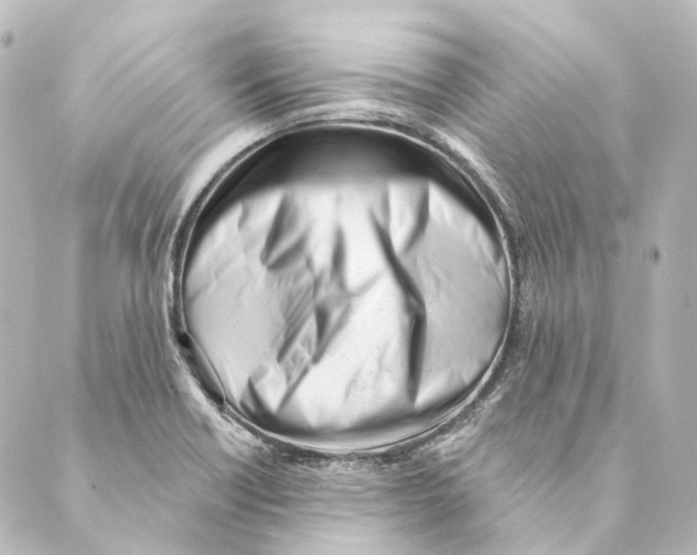 X0000088571418200706221240